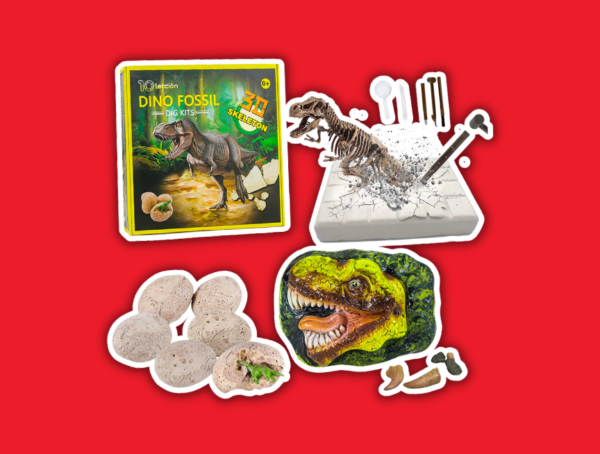 14 Dino Fossil Dig Kits