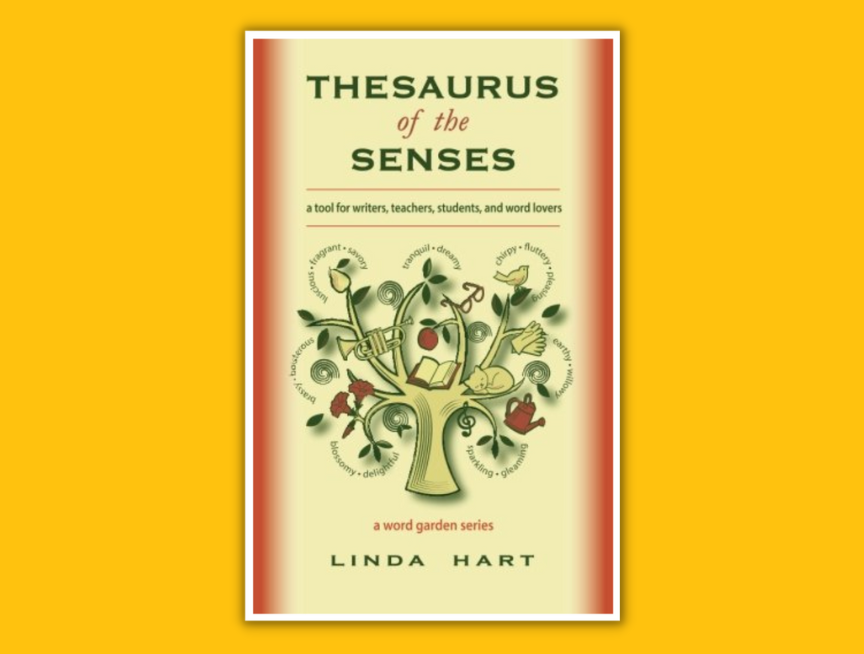 49 Thesaurus of the Senses